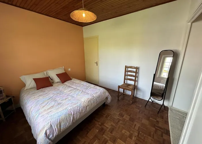 Le Grues Cendrees * Arjuzanx