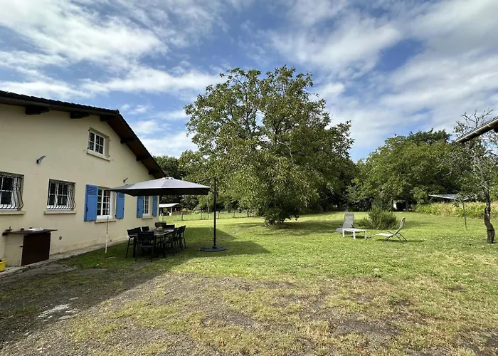 Le Grues Cendrees * Arjuzanx